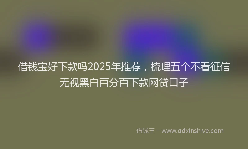 借钱宝好下款吗2025年推荐，梳理五个不看征信无视黑白百分百下款网贷口子
