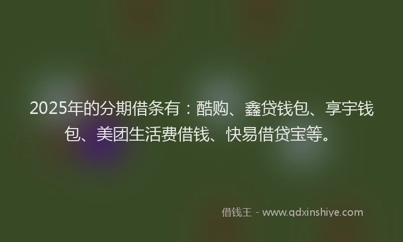2025年的分期借条有：酷购、鑫贷钱包、享宇钱包、美团生活费借钱、快易借贷宝等。