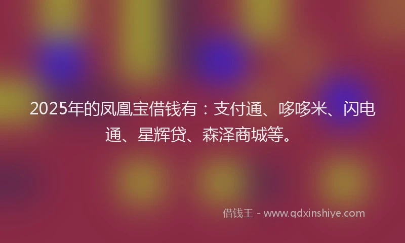2025年的凤凰宝借钱有：支付通、哆哆米、闪电通、星辉贷、森泽商城等。