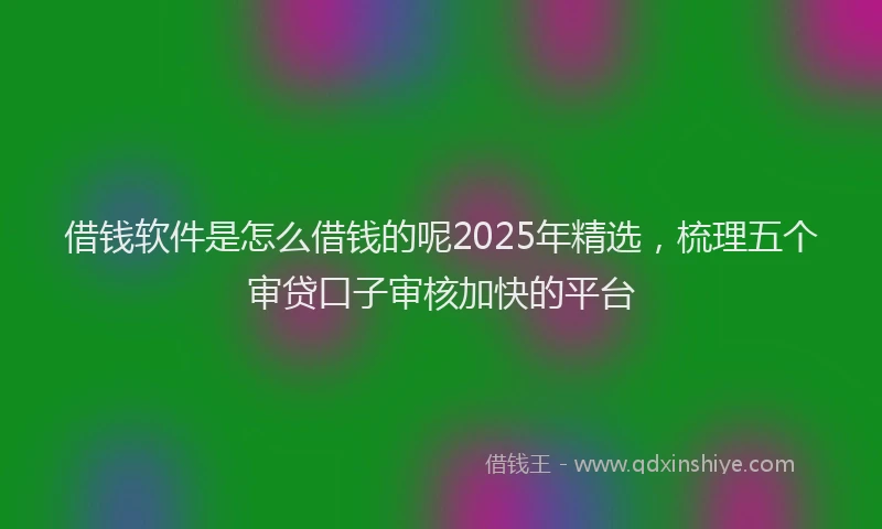 借钱软件是怎么借钱的呢2025年精选，梳理五个审贷口子审核加快的平台
