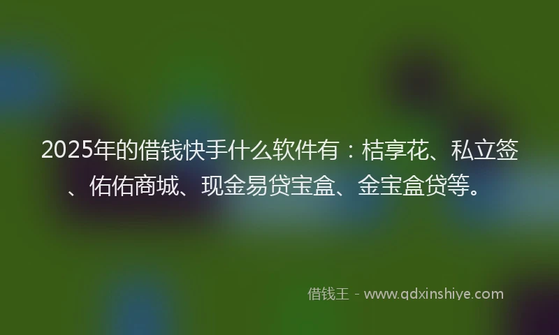 2025年的借钱快手什么软件有：桔享花、私立签、佑佑商城、现金易贷宝盒、金宝盒贷等。