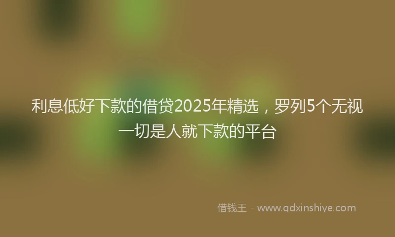 利息低好下款的借贷2025年精选，罗列5个无视一切是人就下款的平台