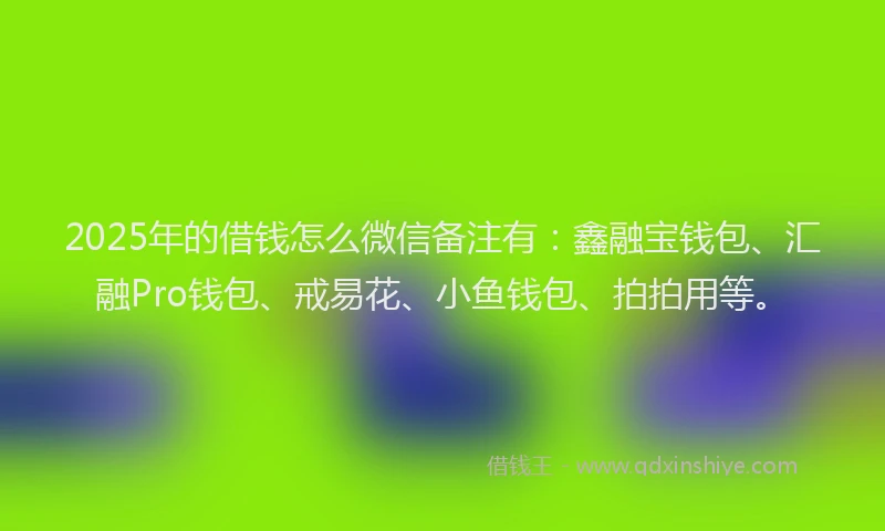 2025年的借钱怎么微信备注有：鑫融宝钱包、汇融Pro钱包、戒易花、小鱼钱包、拍拍用等。