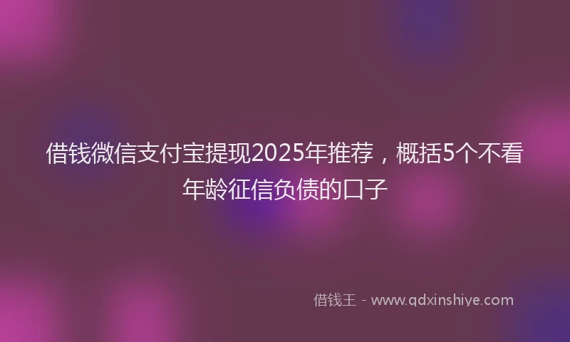 借钱微信支付宝提现2025年推荐，概括5个不看年龄征信负债的口子