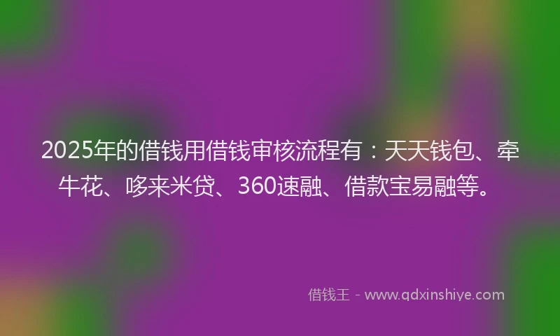 2025年的借钱用借钱审核流程有：天天钱包、牵牛花、哆来米贷、360速融、借款宝易融等。