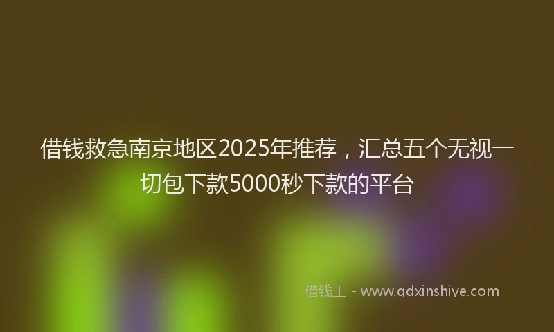 借钱救急南京地区2025年推荐，汇总五个无视一切包下款5000秒下款的平台