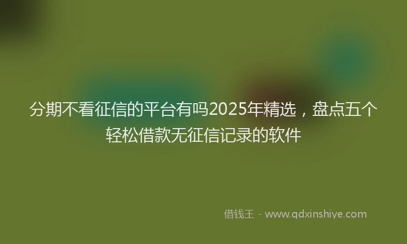 分期不看征信的平台有吗2025年精选，盘点五个轻松借款无征信记录的软件