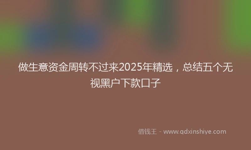 做生意资金周转不过来2025年精选，总结五个无视黑户下款口子
