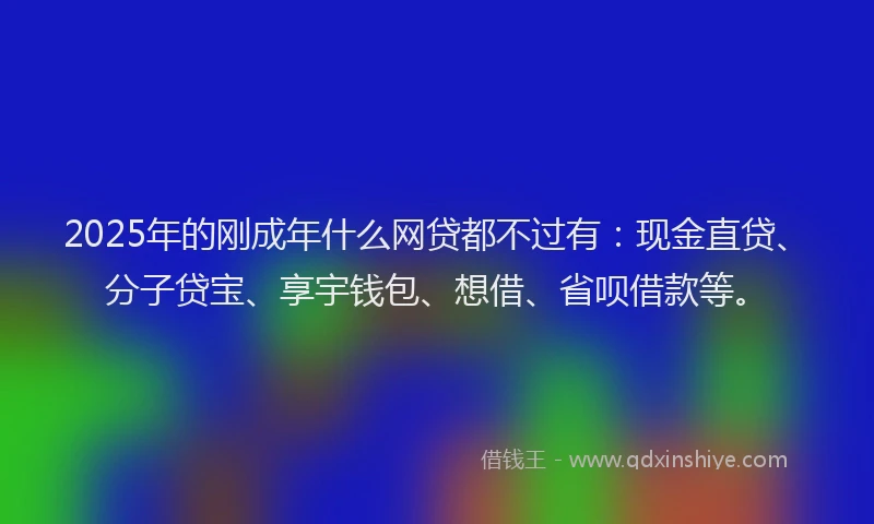2025年的刚成年什么网贷都不过有：现金直贷、分子贷宝、享宇钱包、想借、省呗借款等。