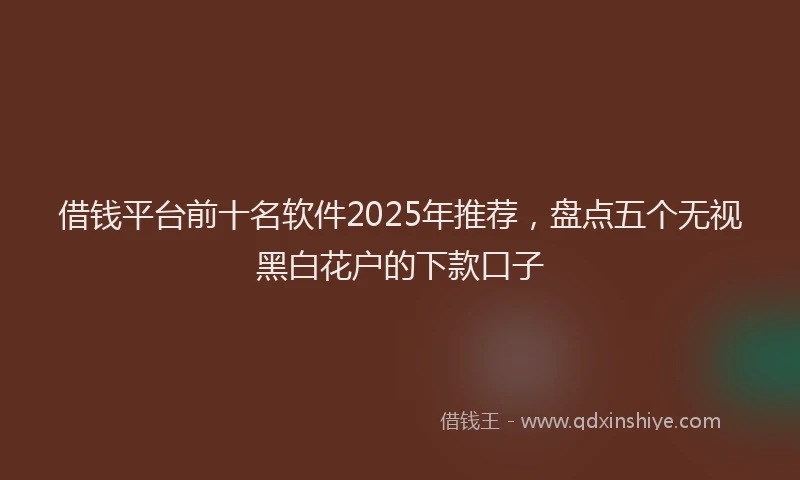 借钱平台前十名软件2025年推荐，盘点五个无视黑白花户的下款口子