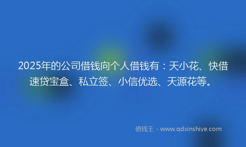 2025年的公司借钱向个人借钱有：天小花、快借速贷宝盒、私立签、小信优选、天源花等。