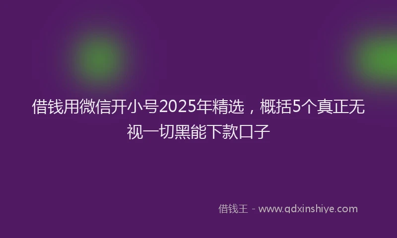借钱用微信开小号2025年精选，概括5个真正无视一切黑能下款口子