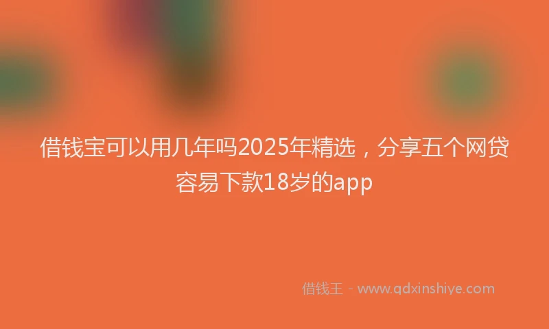 借钱宝可以用几年吗2025年精选，分享五个网贷容易下款18岁的app