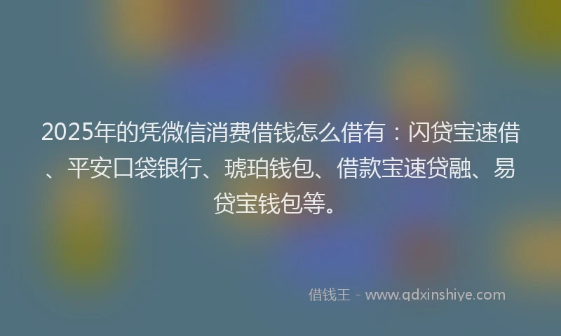 2025年的凭微信消费借钱怎么借有：闪贷宝速借、平安口袋银行、琥珀钱包、借款宝速贷融、易贷宝钱包等。