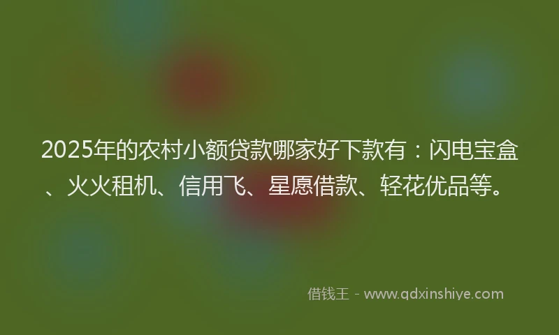 2025年的农村小额贷款哪家好下款有：闪电宝盒、火火租机、信用飞、星愿借款、轻花优品等。