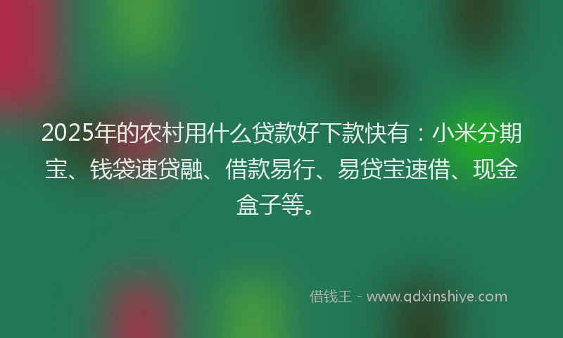2025年的农村用什么贷款好下款快有：小米分期宝、钱袋速贷融、借款易行、易贷宝速借、现金盒子等。