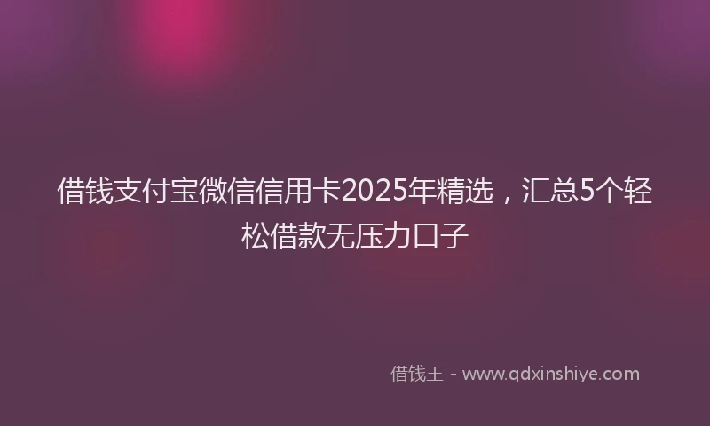 借钱支付宝微信信用卡2025年精选，汇总5个轻松借款无压力口子