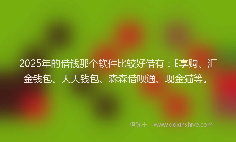 2025年的借钱那个软件比较好借有：E享购、汇金钱包、天天钱包、森森借呗通、现金猫等。