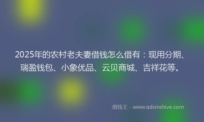 2025年的农村老夫妻借钱怎么借有：现用分期、瑞盈钱包、小象优品、云贝商城、吉祥花等。
