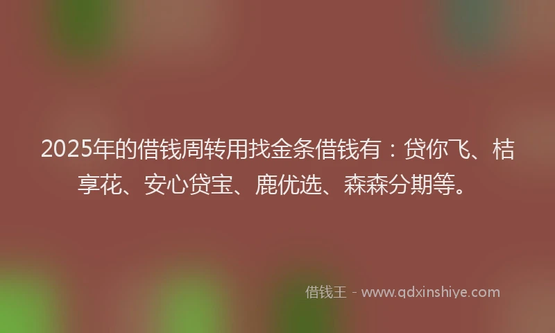 2025年的借钱周转用找金条借钱有：贷你飞、桔享花、安心贷宝、鹿优选、森森分期等。
