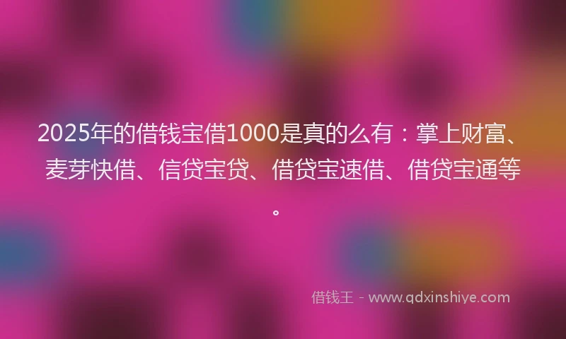 2025年的借钱宝借1000是真的么有：掌上财富、麦芽快借、信贷宝贷、借贷宝速借、借贷宝通等。