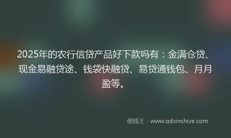 2025年的农行信贷产品好下款吗有：金满仓贷、现金易融贷途、钱袋快融贷、易贷通钱包、月月盈等。
