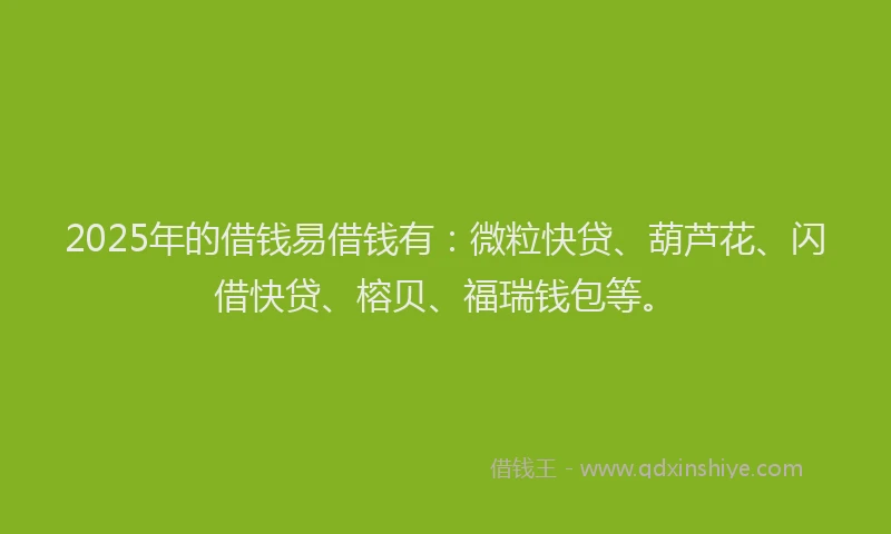 2025年的借钱易借钱有：微粒快贷、葫芦花、闪借快贷、榕贝、福瑞钱包等。