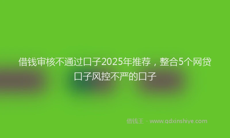 借钱审核不通过口子2025年推荐，整合5个网贷口子风控不严的口子