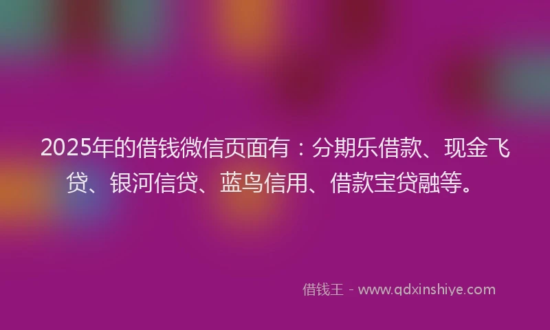 2025年的借钱微信页面有：分期乐借款、现金飞贷、银河信贷、蓝鸟信用、借款宝贷融等。