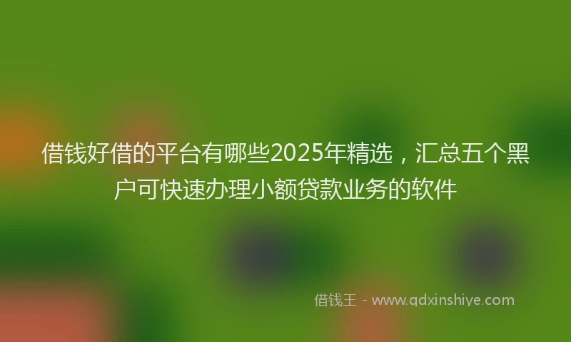 借钱好借的平台有哪些2025年精选，汇总五个黑户可快速办理小额贷款业务的软件