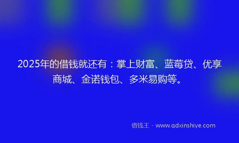 2025年的借钱就还有：掌上财富、蓝莓贷、优享商城、金诺钱包、多米易购等。