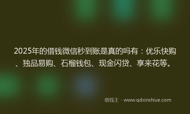 2025年的借钱微信秒到账是真的吗有：优乐快购、独品易购、石榴钱包、现金闪贷、享来花等。