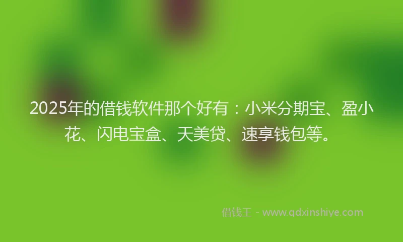 2025年的借钱软件那个好有：小米分期宝、盈小花、闪电宝盒、天美贷、速享钱包等。