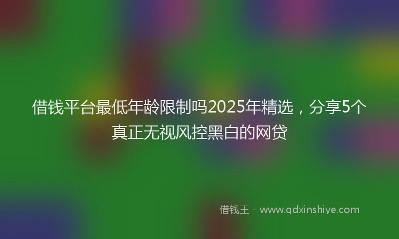 借钱平台最低年龄限制吗2025年精选，分享5个真正无视风控黑白的网贷