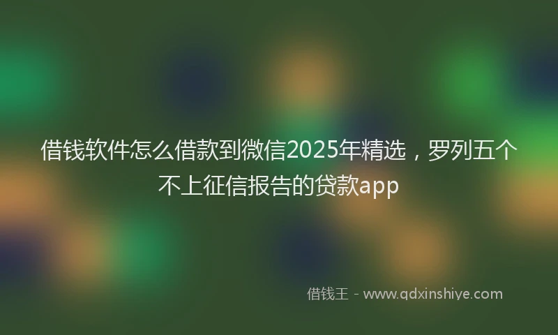 借钱软件怎么借款到微信2025年精选，罗列五个不上征信报告的贷款app