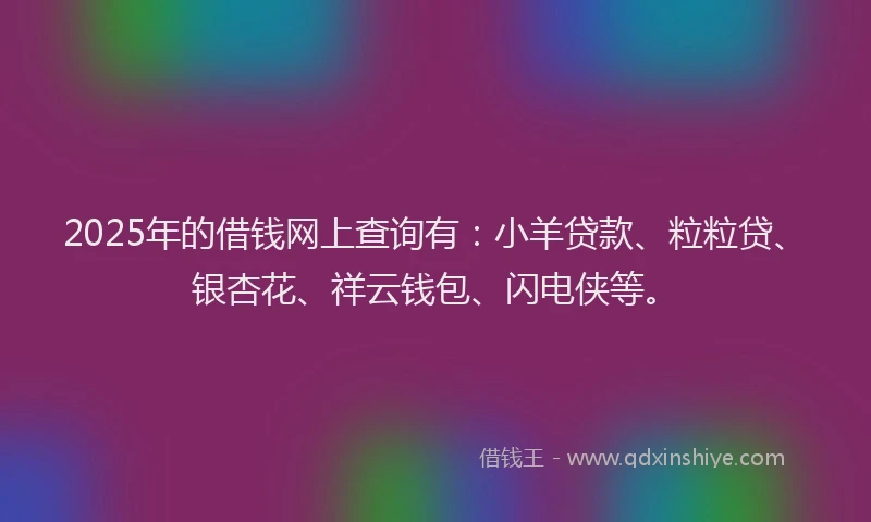 2025年的借钱网上查询有：小羊贷款、粒粒贷、银杏花、祥云钱包、闪电侠等。