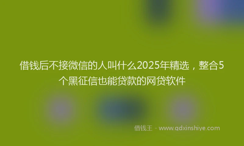 借钱后不接微信的人叫什么2025年精选，整合5个黑征信也能贷款的网贷软件