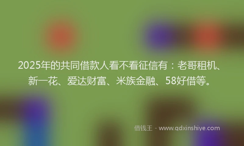2025年的共同借款人看不看征信有：老哥租机、新一花、爱达财富、米族金融、58好借等。