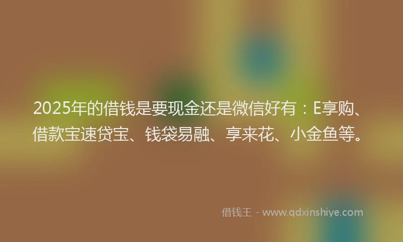 2025年的借钱是要现金还是微信好有：E享购、借款宝速贷宝、钱袋易融、享来花、小金鱼等。