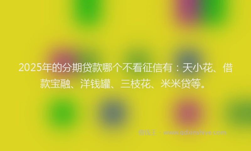 2025年的分期贷款哪个不看征信有：天小花、借款宝融、洋钱罐、三枝花、米米贷等。