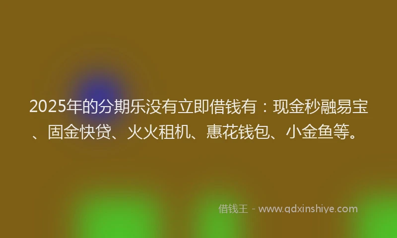 2025年的分期乐没有立即借钱有：现金秒融易宝、固金快贷、火火租机、惠花钱包、小金鱼等。