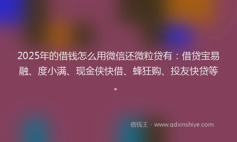 2025年的借钱怎么用微信还微粒贷有：借贷宝易融、度小满、现金侠快借、蜂狂购、投友快贷等。