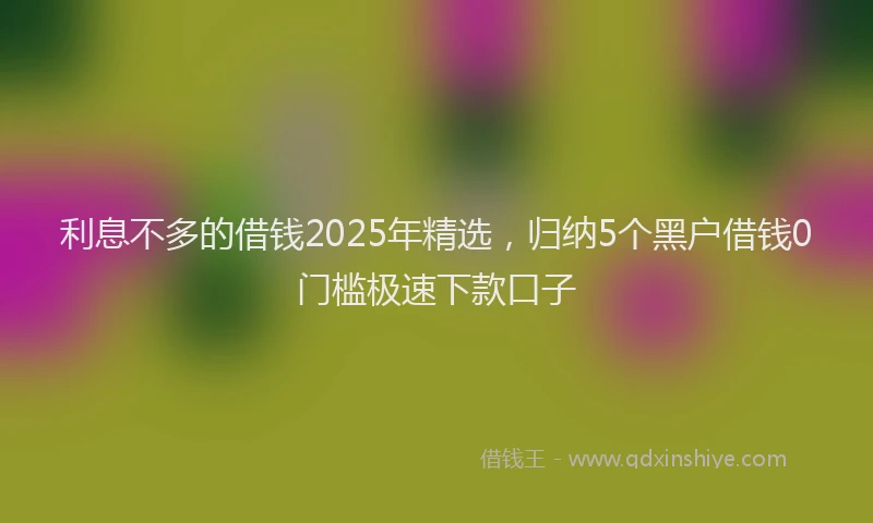 利息不多的借钱2025年精选，归纳5个黑户借钱0门槛极速下款口子