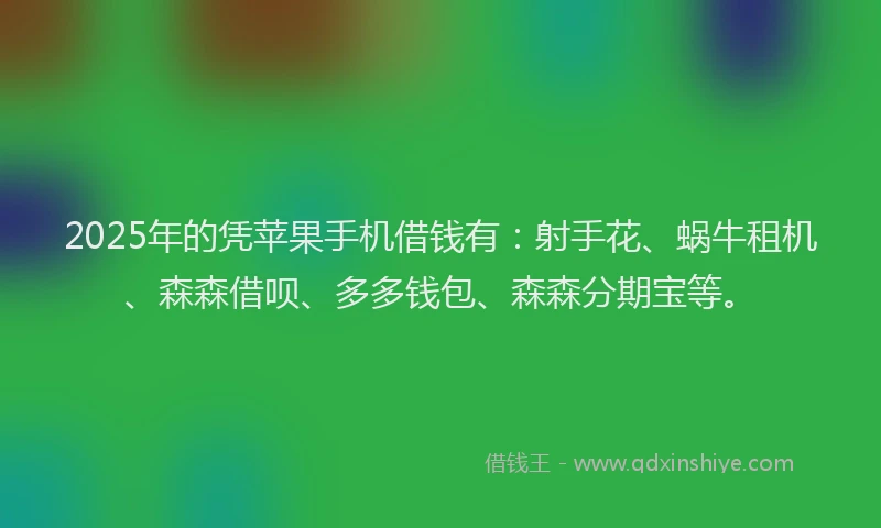 2025年的凭苹果手机借钱有：射手花、蜗牛租机、森森借呗、多多钱包、森森分期宝等。
