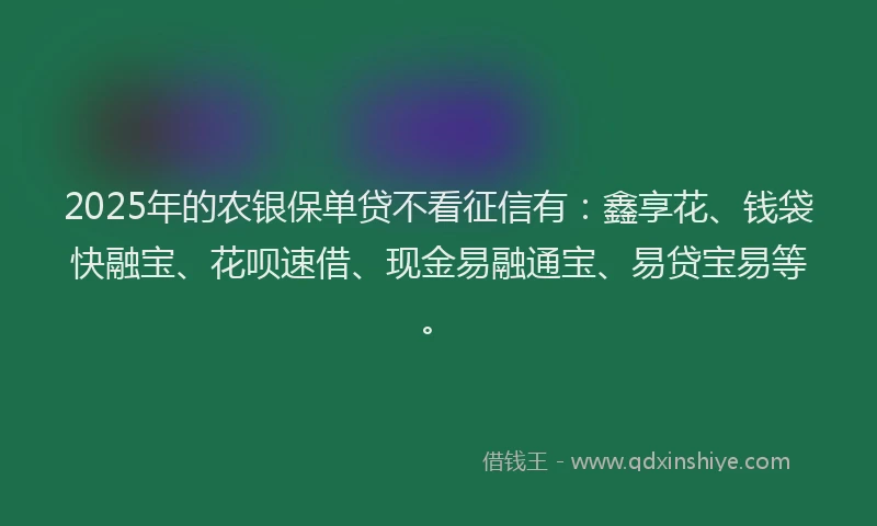 2025年的农银保单贷不看征信有：鑫享花、钱袋快融宝、花呗速借、现金易融通宝、易贷宝易等。