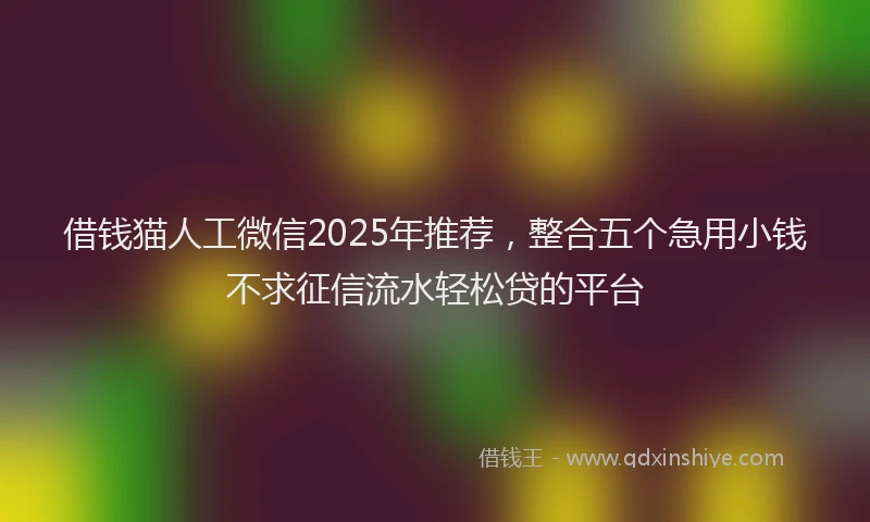 借钱猫人工微信2025年推荐，整合五个急用小钱不求征信流水轻松贷的平台