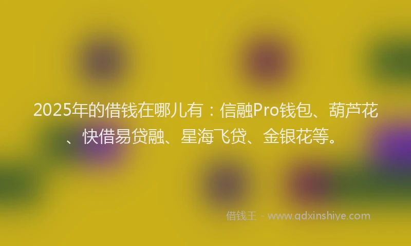 2025年的借钱在哪儿有：信融Pro钱包、葫芦花、快借易贷融、星海飞贷、金银花等。