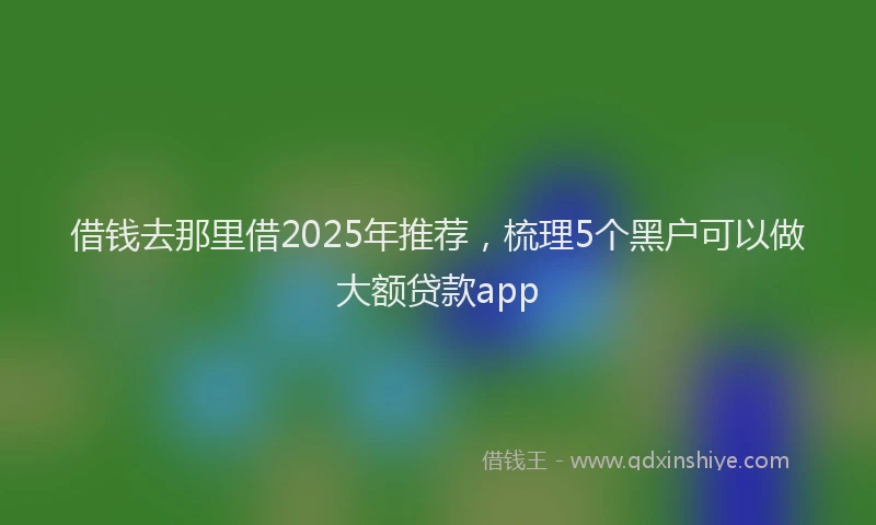 借钱去那里借2025年推荐，梳理5个黑户可以做大额贷款app