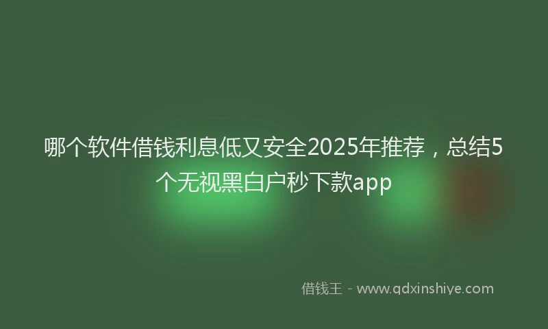 哪个软件借钱利息低又安全2025年推荐，总结5个无视黑白户秒下款app