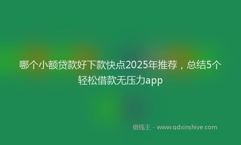 哪个小额贷款好下款快点2025年推荐，总结5个轻松借款无压力app
